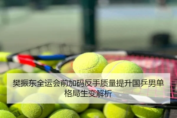 樊振东全运会前加码反手质量提升国乒男单格局生变解析